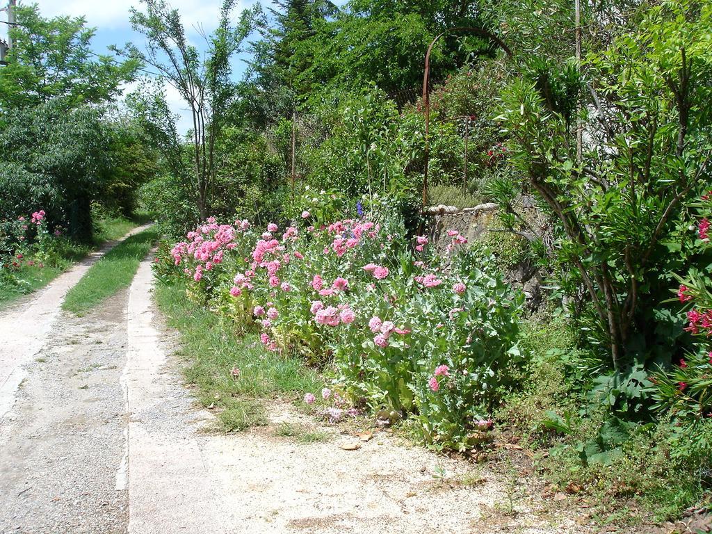 La Colline Bleue Bed & Breakfast Banne Dış mekan fotoğraf